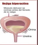 Carlos Herrera Caballero