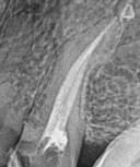 Juan Ignacio Oriolani